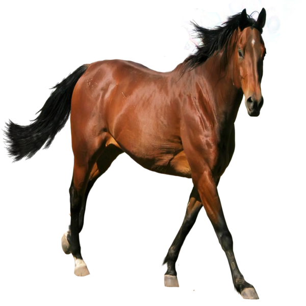 6751b9d1da289